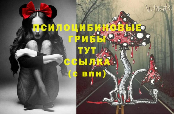 стаф Белоозёрский